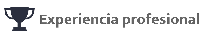 Experiencia Profesional_1.png